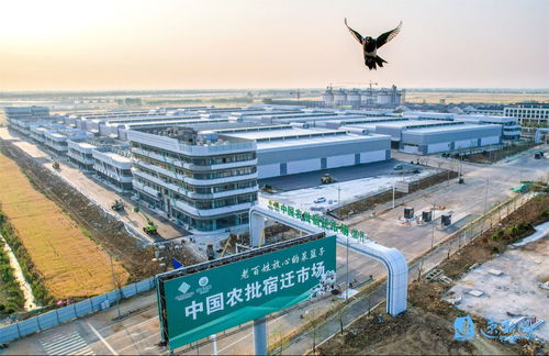 產業旺、村和美、同致富 宿遷集成推進鄉村全面振興的建筑工程實踐