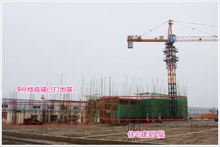 德系品質筑就時代標桿 時代天驕3月最新工程進度全面解讀